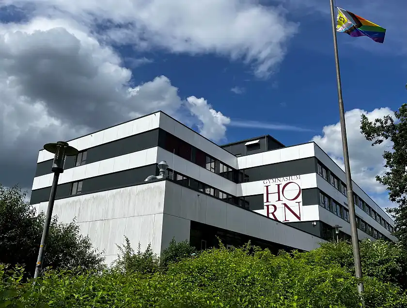 Foto des Gymnasiums Horn