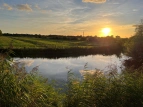 Foto Hollerland am Abend 
&tilde; Bildnachweis: Maren Gagelmann
