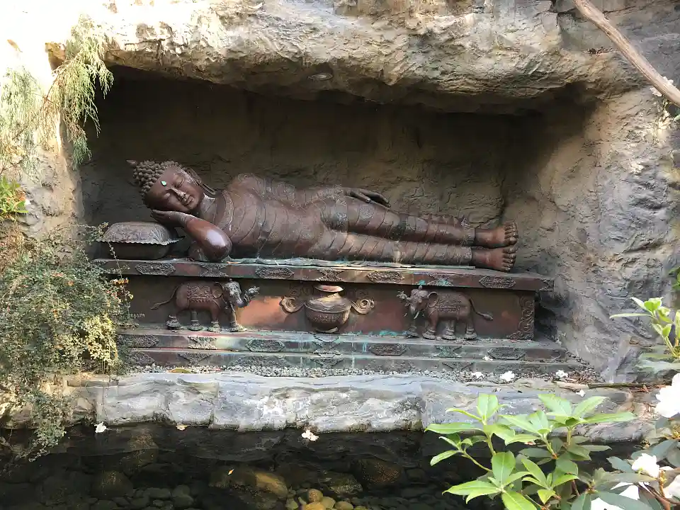 Foto eines sterbenden Buddhas in der botanika