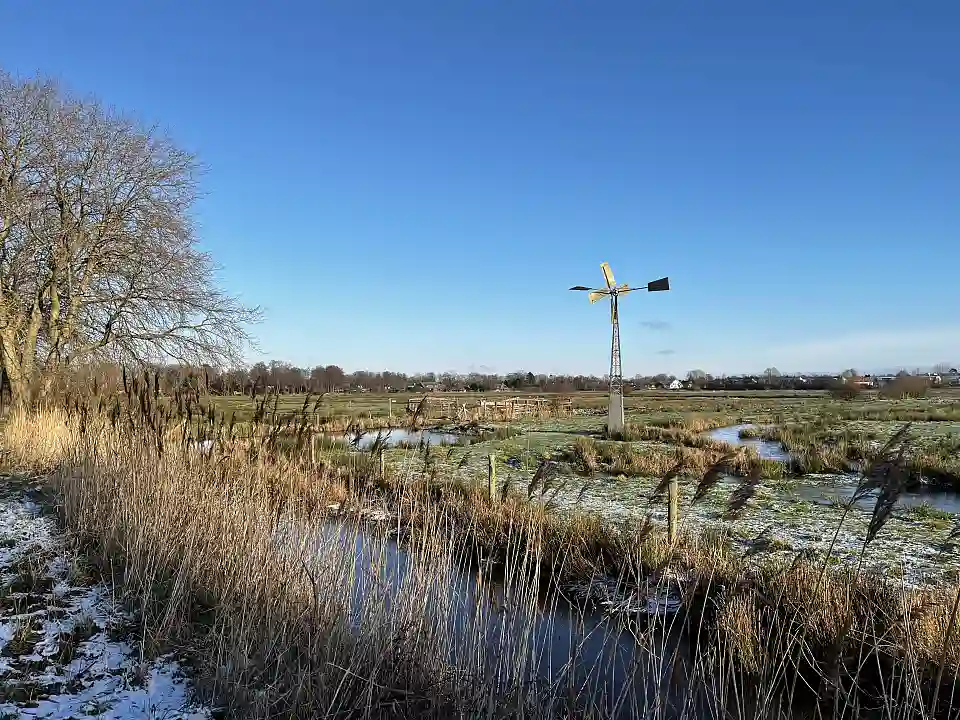 Foto Naturschutzgebiet am Jan-Reiners-Weg