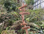 Foto aus dem Japanischen Garten in der botanika