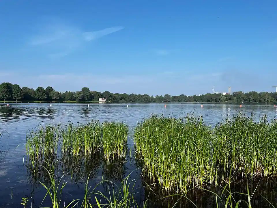 Foto Stadtwaldsee (auch Unisee genannt)