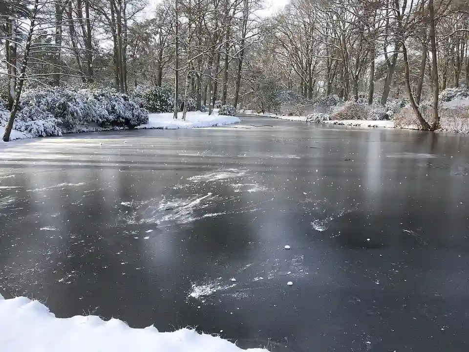 Winterlandschaft im Rhododendronpark