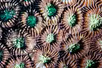 Neue Ausstellung im Ortsamt Horn-Lehe von Philipp Eilers